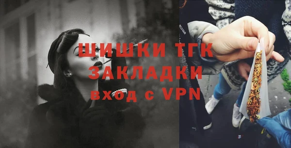 соль ск Богданович