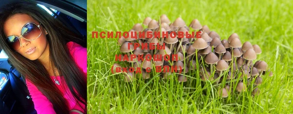 шишки Богородск