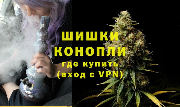 шишки Богородск