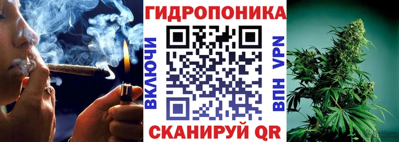 Бошки Шишки LSD WEED  MEGA tor  Миньяр 
